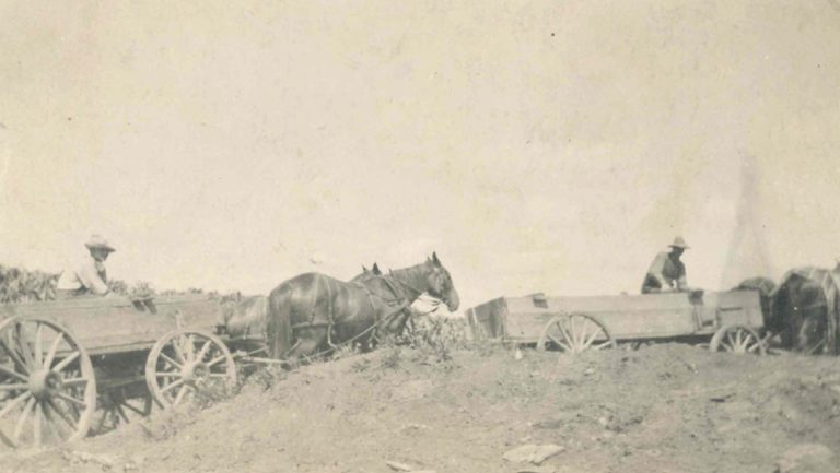 Wm. Mueller and Sons historic photo—horse drawn carts